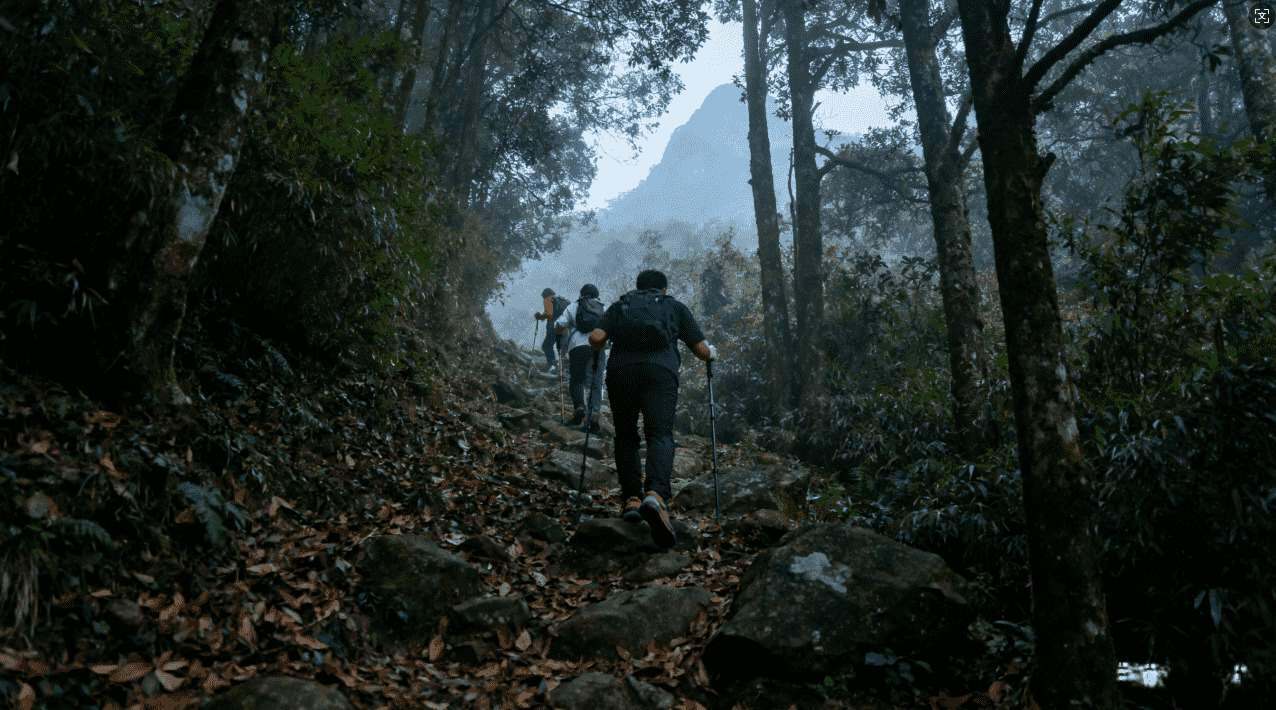 小牛加速器云盘位置全面指南与使用技巧解析